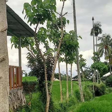 Bayan Exotic Homestay Senaru Exterior photo