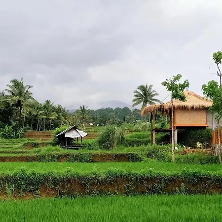 Bayan Exotic Homestay Senaru Exterior photo