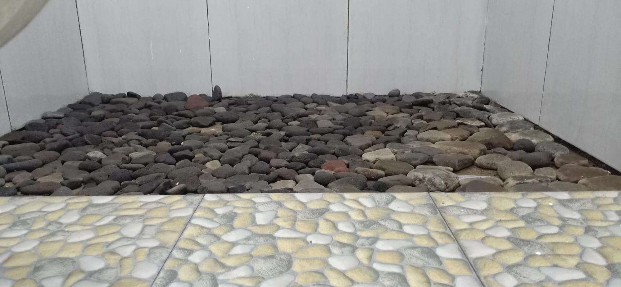 Bayan Exotic Séjour chez l'habitant Senaru